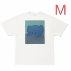 Item thumbnail for item 3012b3a1-1eae-4840-b692-6a34e1b316ee