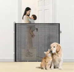 Item thumbnail for item 4136053f-dfec-48db-bcf0-2ca3eba83a76