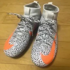 Item thumbnail for item 88a17160-1b67-441e-916b-5064cf96ea0f