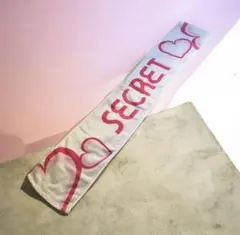 상태좋음 Secret シークレット 公式マフラータオル 今治タオル