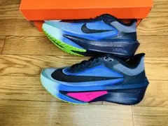 新品】NIKEズームフライ6 GLAM IO9572-400 26cm - メルカリ