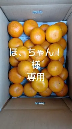 せとか10㎏(小玉、家庭用)ほ、ちゃん！様専用