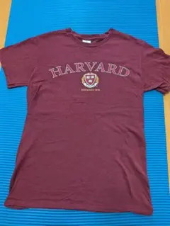HARVARD University Tシャツ バーガンディ
