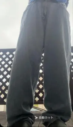 tommy hilfiger デニム