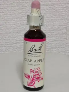 いやしのん様 リクエスト 2点 まとめ商品