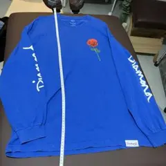 Item thumbnail for item 2bd36256-4770-4a8d-92bf-22e832e74fd5