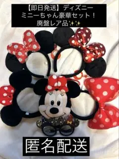 セール中✨️廃盤品 ミニーマウス カチューシャ・ポシェット サングラス まとめ売り