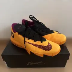 ナイキ KD 6 