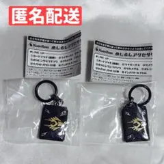 仮面ライダー めじるしアクセサリー 龍騎 2点セット
