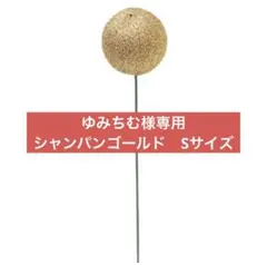 ゆみちむ様専用　シャンパンゴールド　Sサイズ　カラフルボール