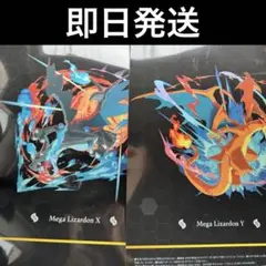 セブンイレブン　ポケモン　クリアファイル　メガリザードン　2枚セット　即日発送