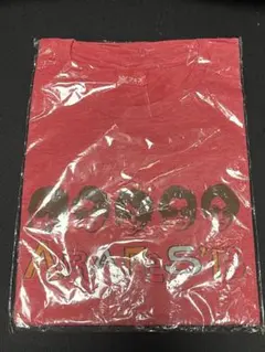 嵐 ARASHI アラフェス 2013 Tシャツ