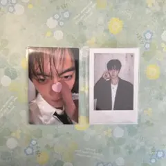 treasure pleasure the samee 特典　ハルト　トレカ