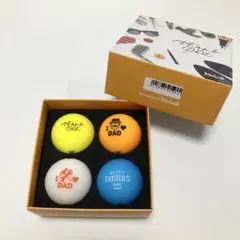 ゴルフボール パークゴルフ