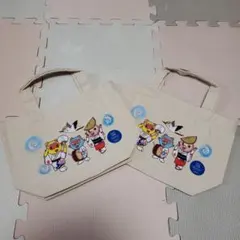 Item thumbnail for item d98f5809-55a8-4c3f-a4c2-aecefa89bc56