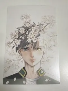 桜遥 桜 ポストカードブック 鈴 WIND BREAKER