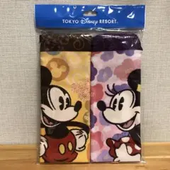 TDR ミッキー　ミニー　巾着セット　ディズニー　リゾート