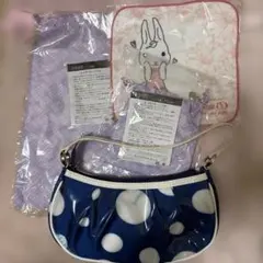 ダイアナ巾着/ミニ巾着 /ダイナちゃんミニハンカチ/扇形水玉ポーチ4点セットのサムネイル