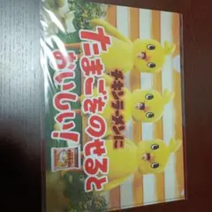 チキンラーメンキャンペーンクリアファイルのみ