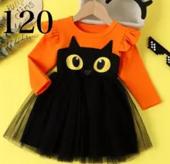 猫デザイン ハロウィンドレス【120】