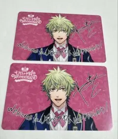 パスポートカード 大和　2枚セット