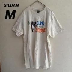 GILDAN コアラ 半袖 Tシャツ M くすみ系 動物イラスト コットン