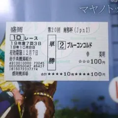 ブルーコンコルド 南部杯現地的中単勝馬券