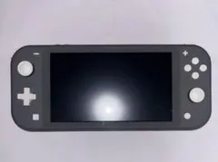 Nintendo Switch Lite グレー 本体 ACアダプター付き