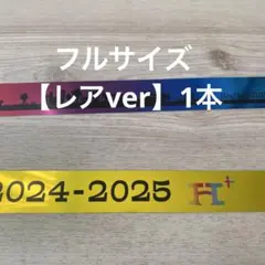 【レア】LIVETOUR 2024-2025 H+ 銀テープ