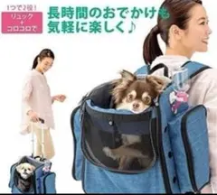 2026年最新】きゃりーわんにゃんの人気アイテム - メルカリ