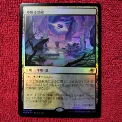 tmgeo様 リクエスト 3点 まとめ商品