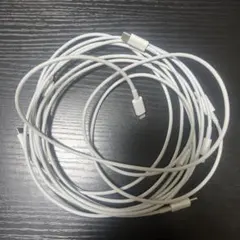 USB C - Lightningケーブル 約1m 4本セット