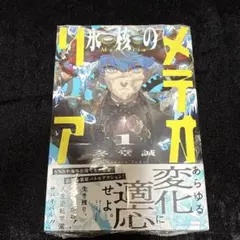 【初版】【帯有り】氷核のメテオリア1巻 ② 初版】【帯有り】氷核のメテオリア 1巻① - メルカリ