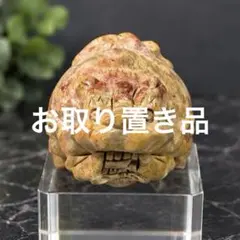天然石 ジャスパー ミニ龍亀 ロングイ