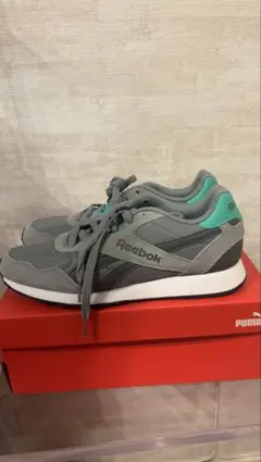 リーボック　スニーカー　テンポ