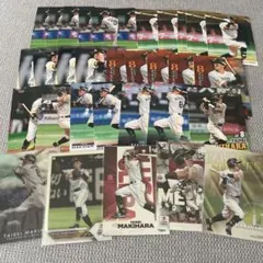 Item thumbnail for item 211e527c-c7e0-4524-a490-b25b300c1002