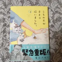 うちの犬が子ネコ拾いました。 1