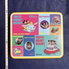 東京ディズニーリゾート 空き缶 ミッキー ミニー