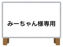 みーちゃん様 リクエスト 3点 まとめ商品