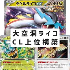 大空洞ライコ　構築済みデッキ　タケルライコex　オーガポンみどりのめんex