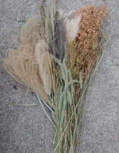 【メルカリ市限定セール】ドライフラワーまとめ売り　ハンドメイド　花材