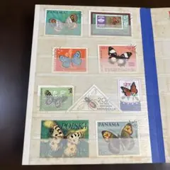 Item thumbnail for item 89d0f802-dcea-463e-aed5-c4df465283d2