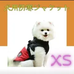 Item thumbnail for item e08ac6fb-c6be-48ae-8051-3a3673fa879b