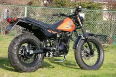 2025年最新】tw200 純正マフラーの人気アイテム - メルカリ