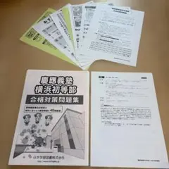 Item thumbnail for item 47662f03-1e66-482d-bea9-971f34a446c6