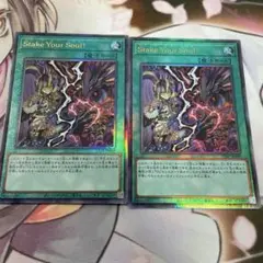 Stake Your Soul! 遊戯王 ステイクユアソウル レリーフ　2枚