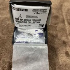 NIKE Air Jordan 1 High METALLIC PURPLE