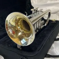 Item thumbnail for item aa398f85-99be-4d6b-9511-448ea1a0ef9e