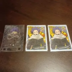 ヒロアカ ヒーローズチップ ヒーローズチップス 心操人使 相澤消太