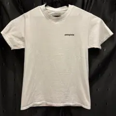 patagonia ホワイト Tシャツ　Sサイズ